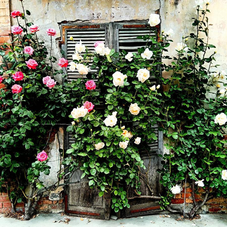 Teresa Al Belvedere Rooms&Holidayapartments Camere&Appartamenti Castellinaldo 外观 照片