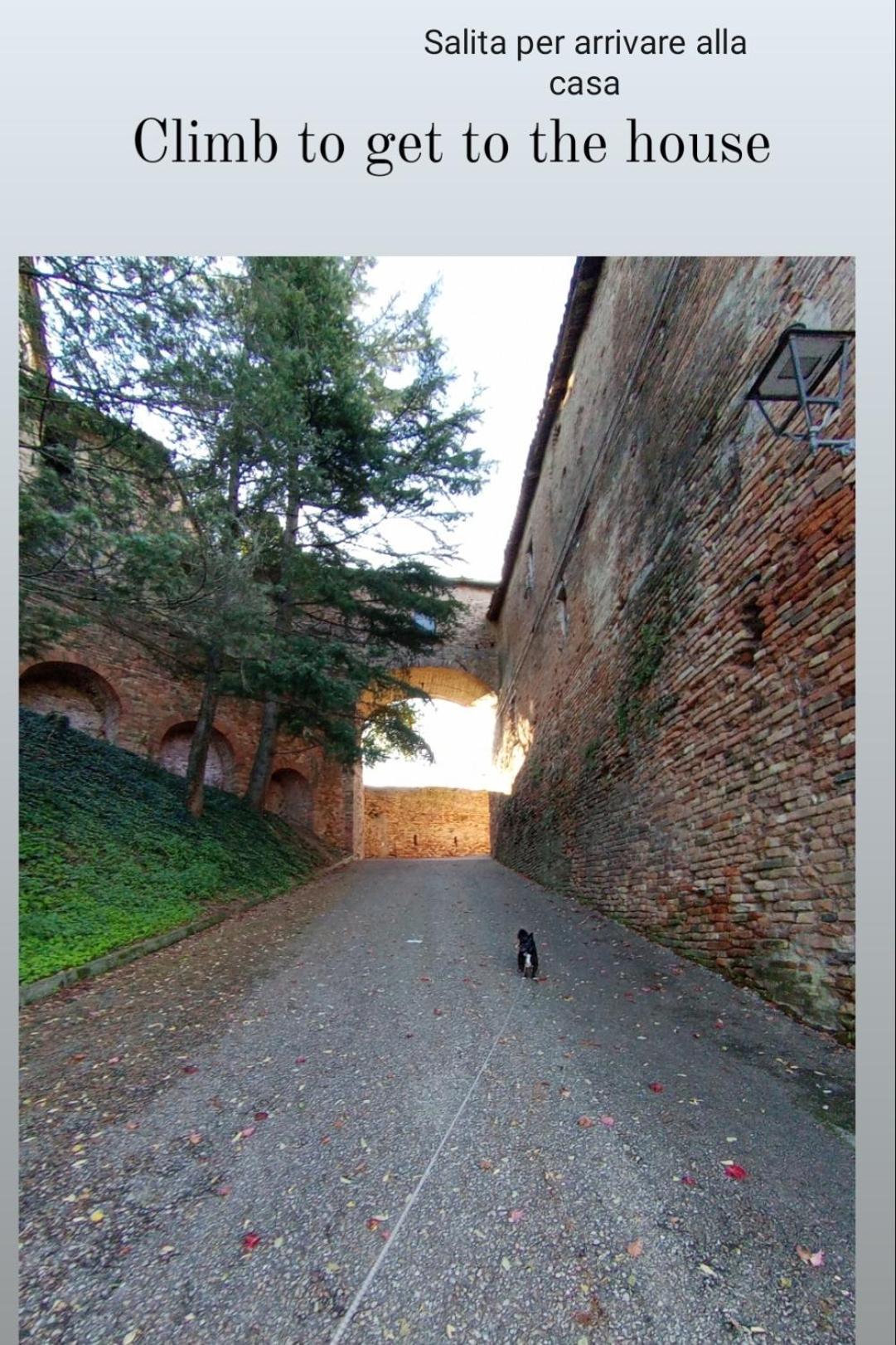 Teresa Al Belvedere Rooms&Holidayapartments Camere&Appartamenti Castellinaldo 外观 照片