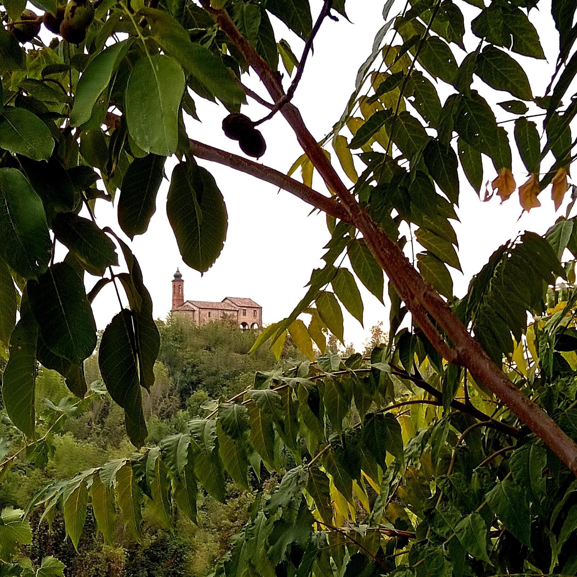 Teresa Al Belvedere Rooms&Holidayapartments Camere&Appartamenti Castellinaldo 外观 照片