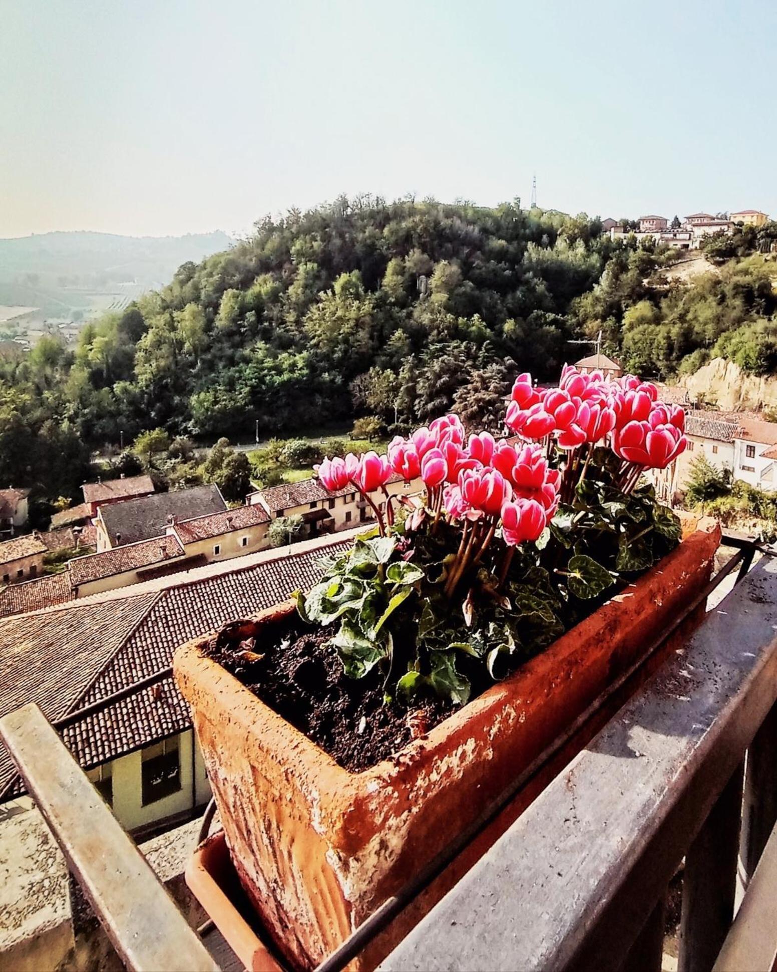 Teresa Al Belvedere Rooms&Holidayapartments Camere&Appartamenti Castellinaldo 外观 照片